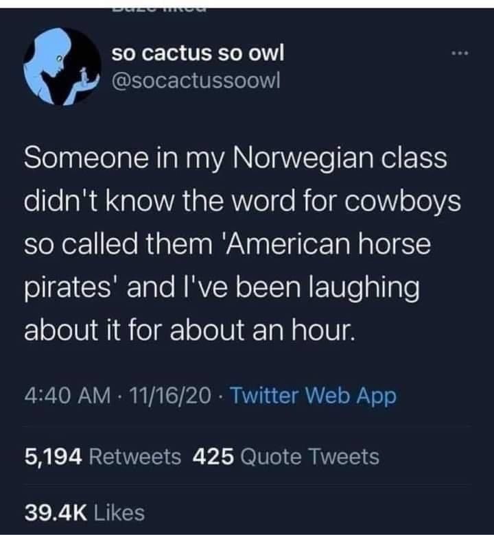American horse pirates