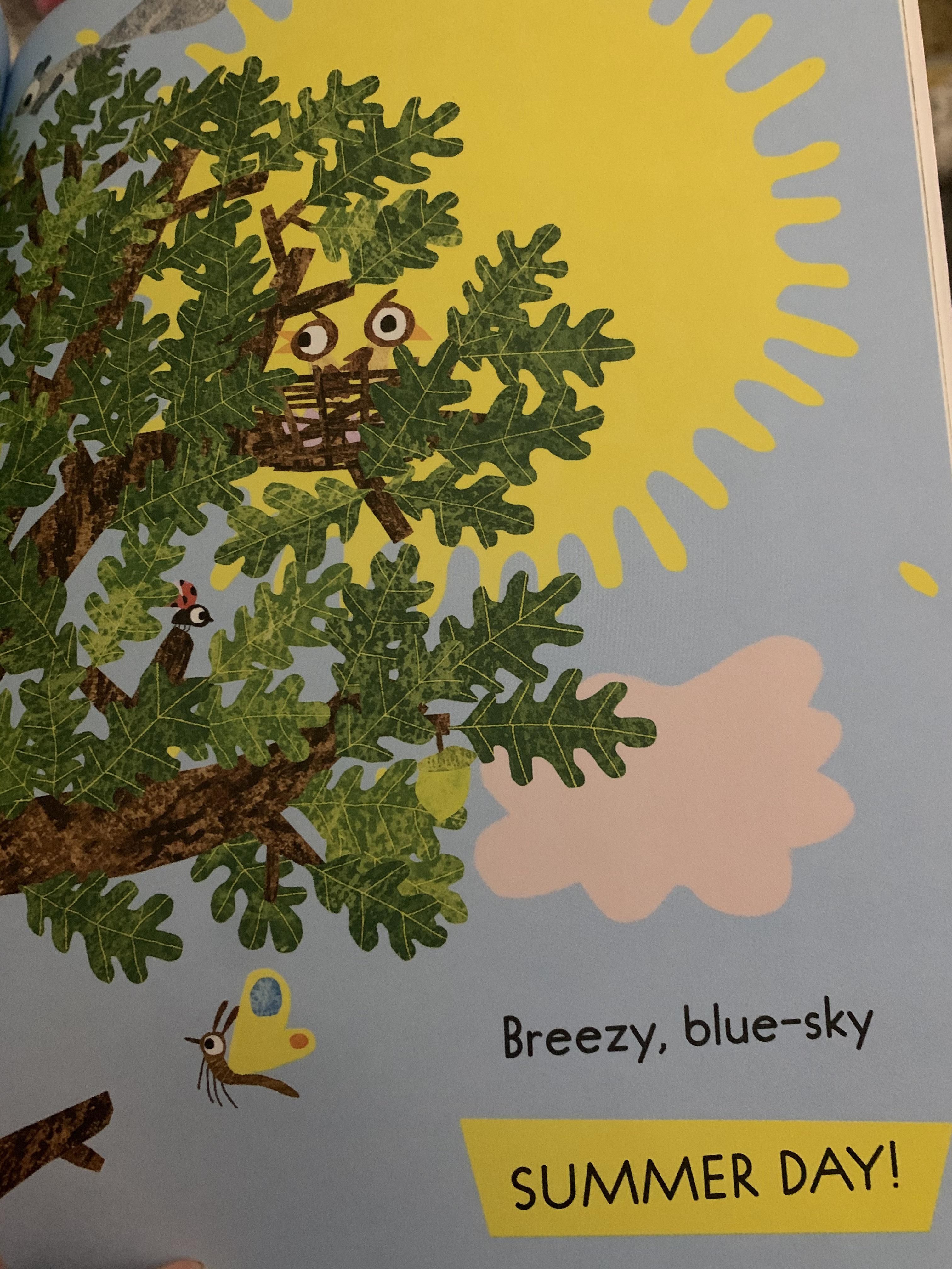 At first I thought this sun was angry AF in my daughters story book...but then I realized it’s just 2 birds!