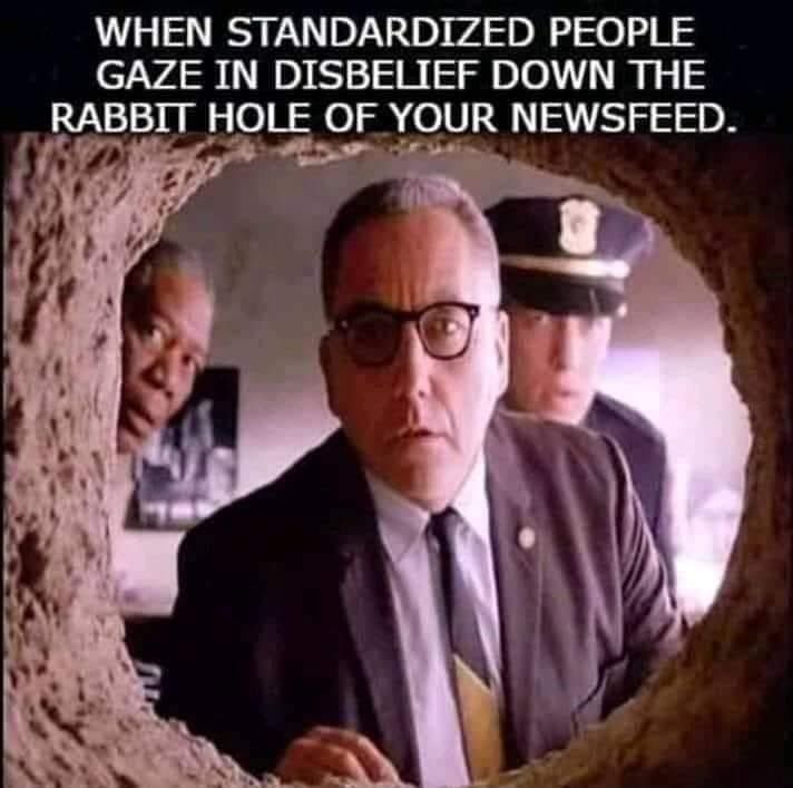 observe