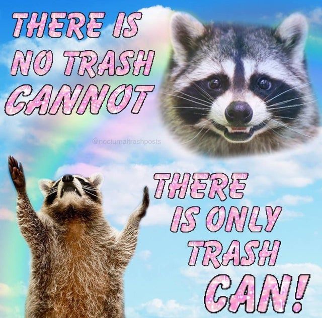 You can regrow your foreskin fren, you just have to BELIEVE