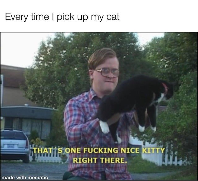Cat good