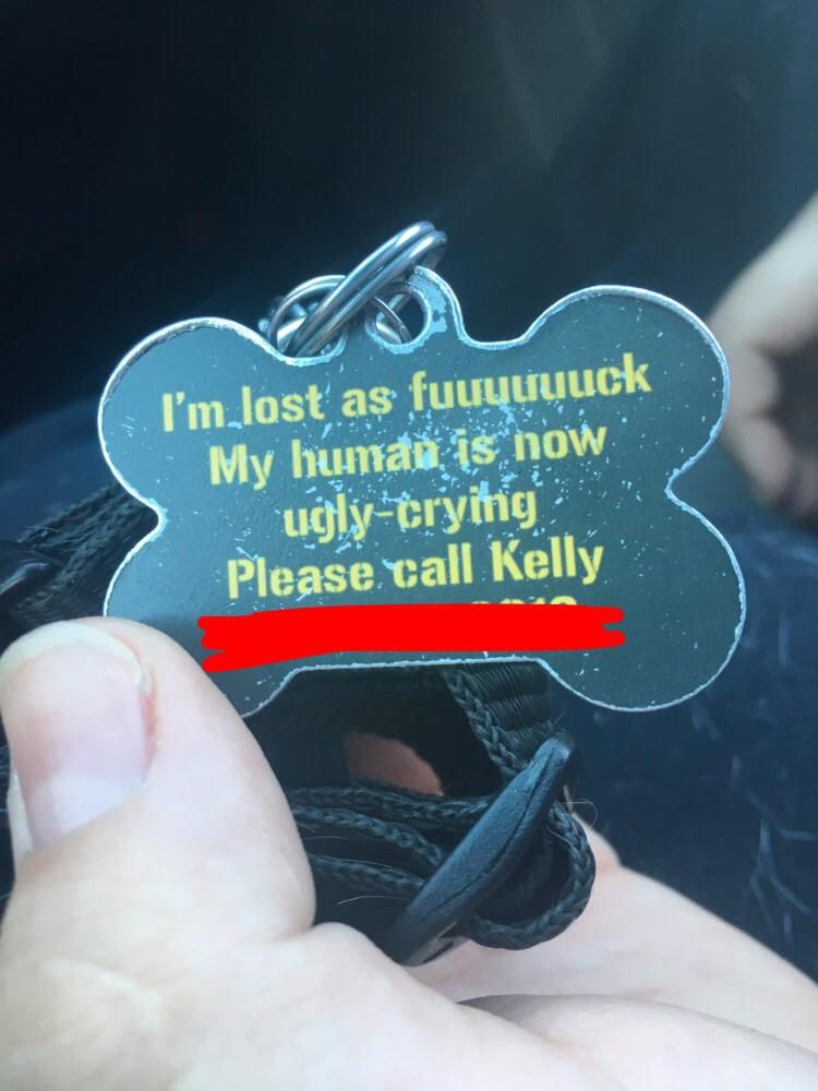The collar my mom has for her dog