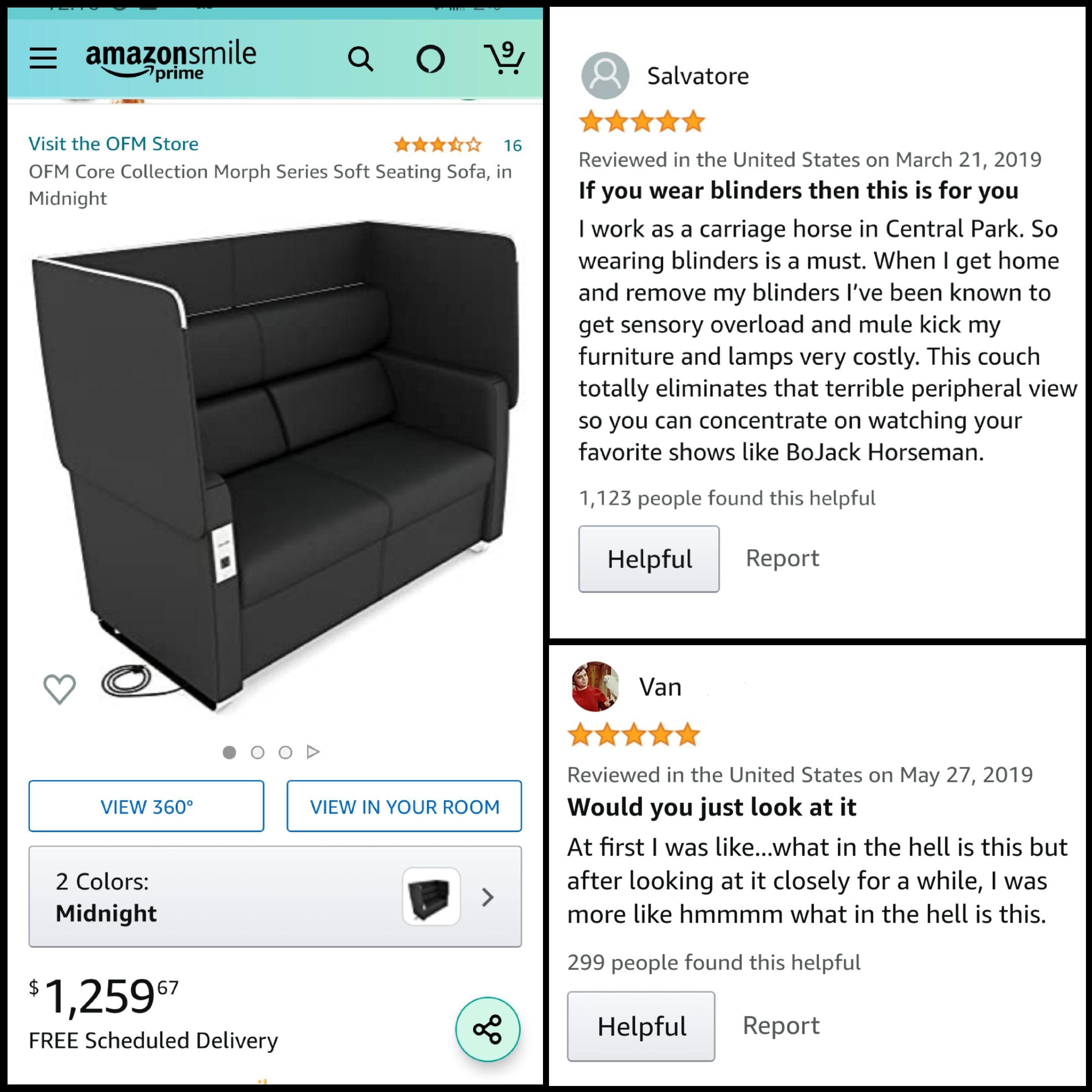 I Couldn't Figure Out the Purpose of this Couch. The Reviews Answered All of My Questions.