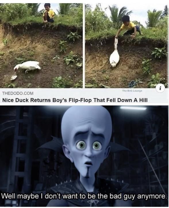 Chaotic good