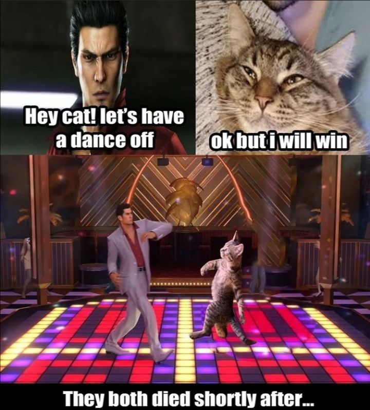 Shuyaku ni naritai no yo koi no disco queen
