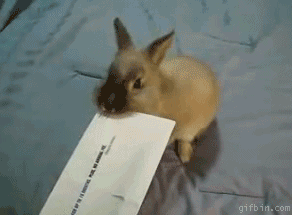 You wish your envelope opener was this cute