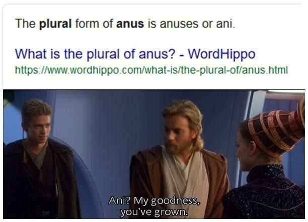 Ani are you okay?