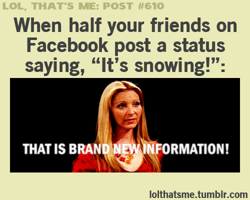 Seriously guys... I have a window.