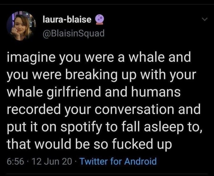 Sounds like a whale of a time