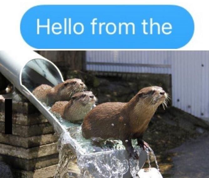 Otters