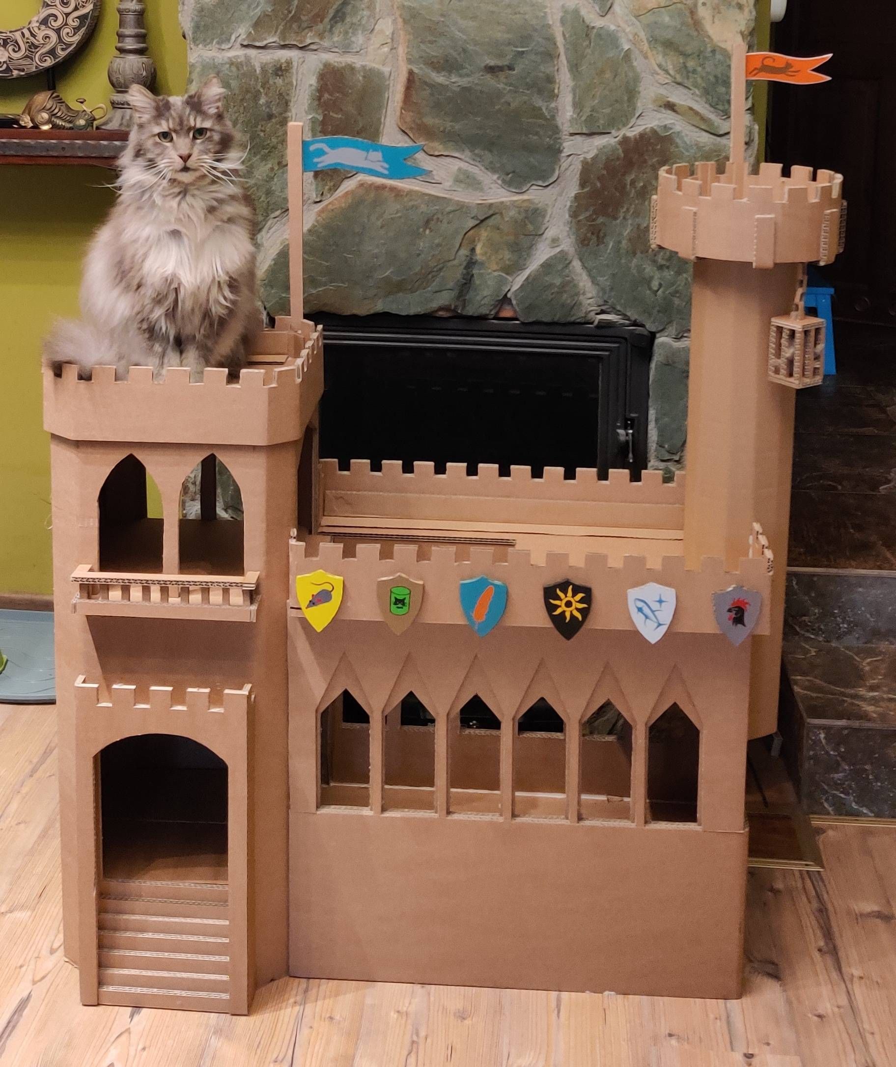 Lockdown + cats + cardboard =