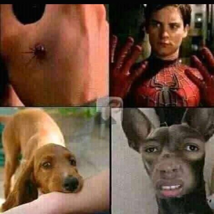 doug
