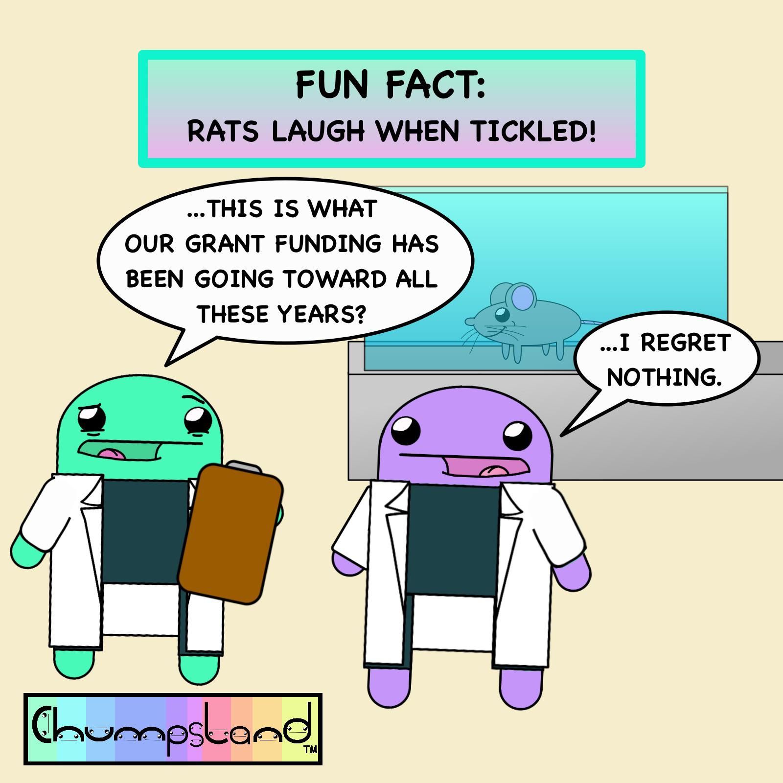 A Fun Fact About Rats