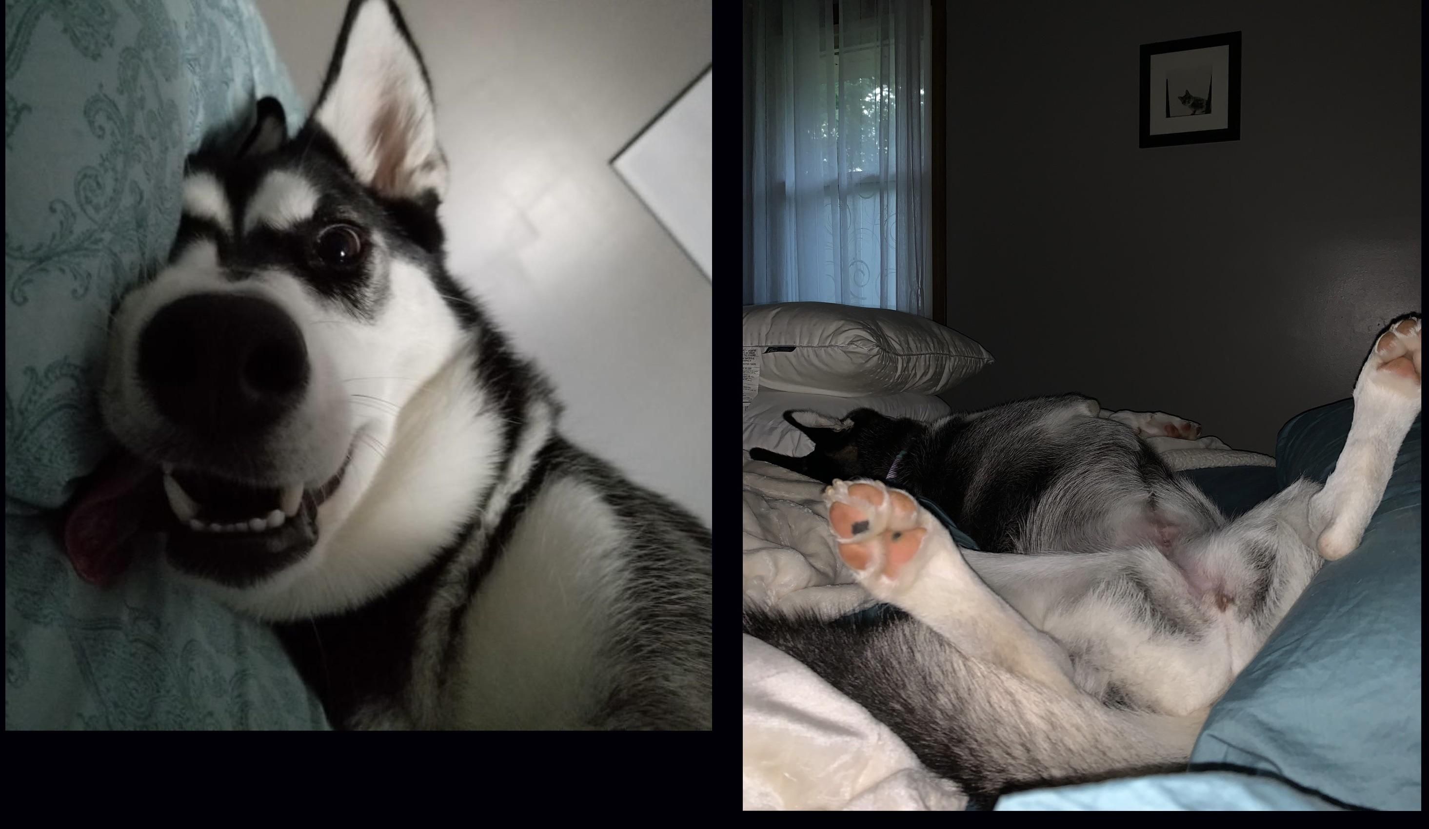 What my husband wakes up to vs. what I wake up to...