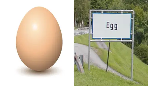 Egg