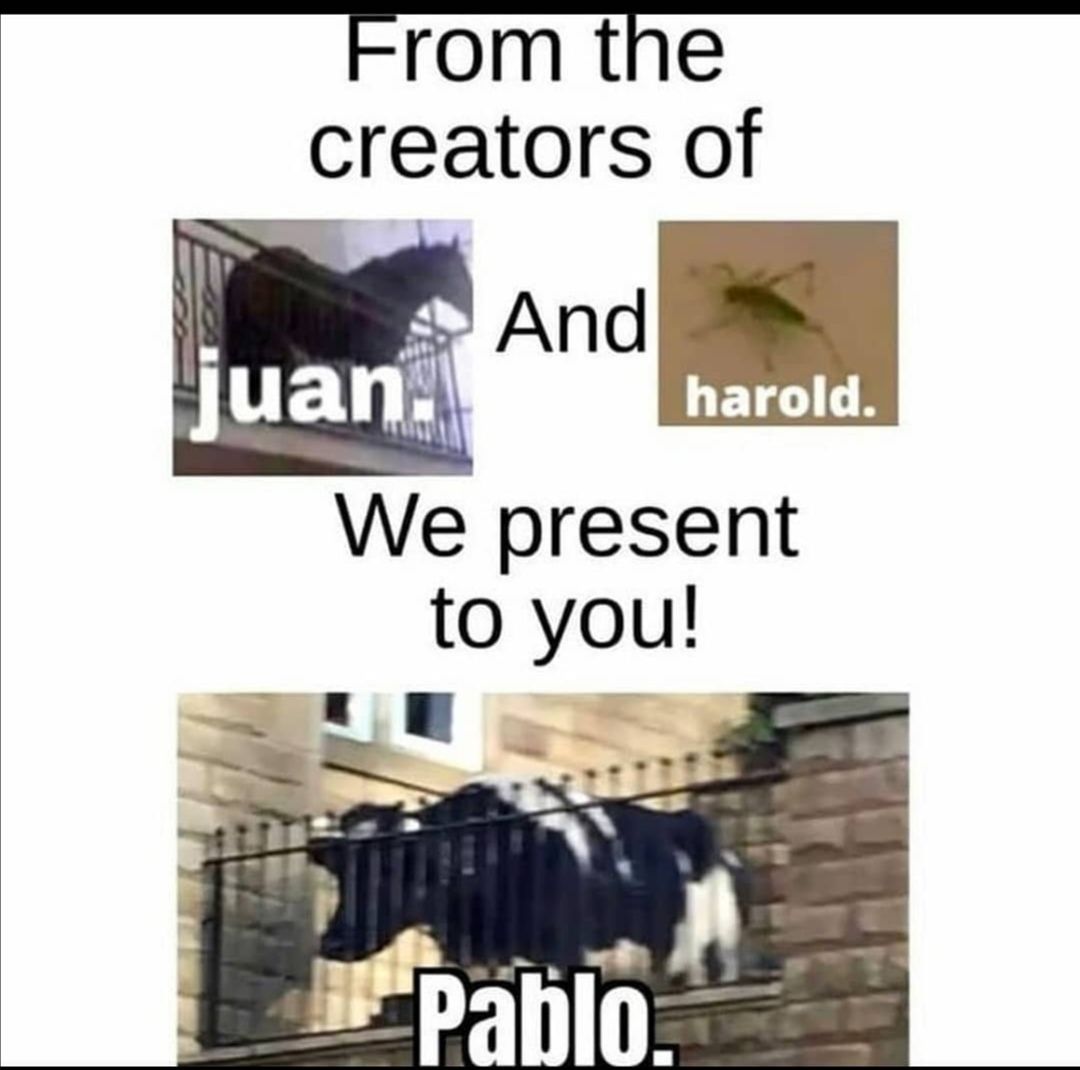 Hey Pablo