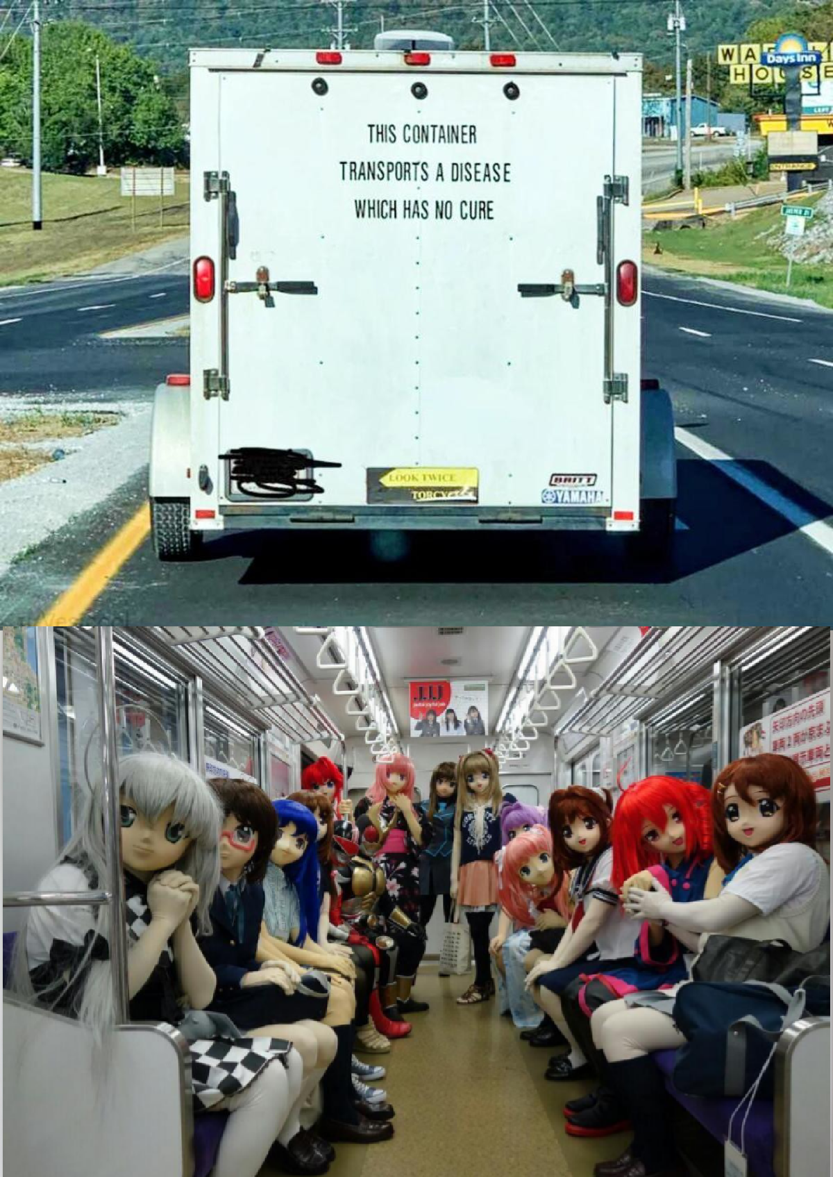 On its way to the slaughterhouse