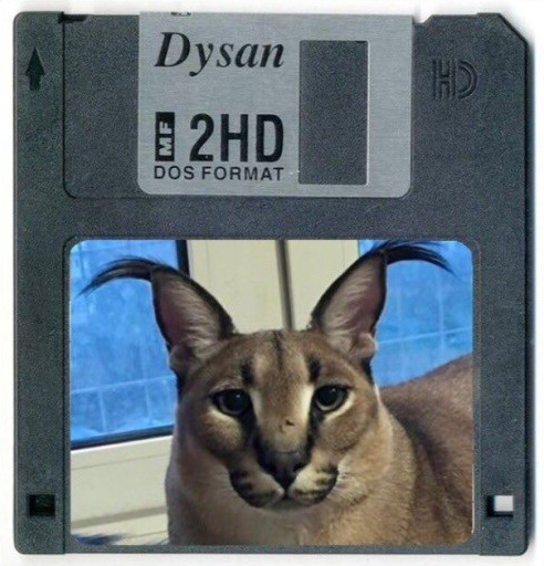 Floppa disk
