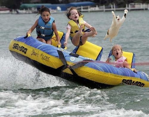 Look at me, girlies! This is how it's done!