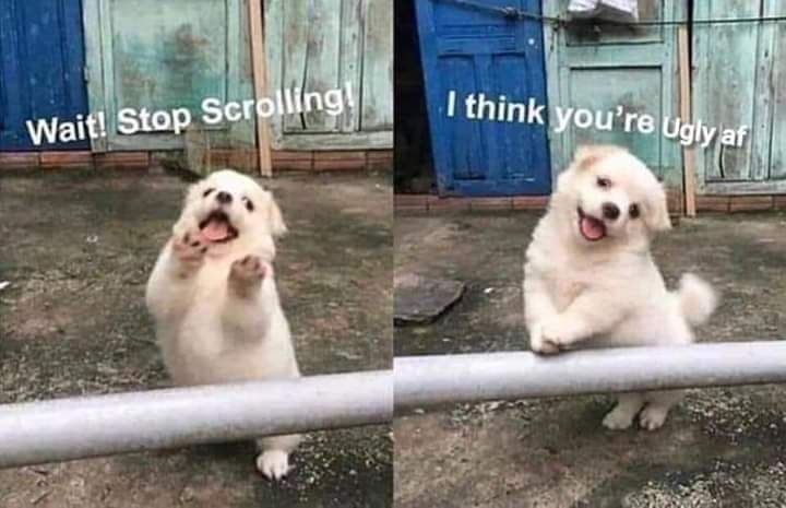 Haha, ugly f**k