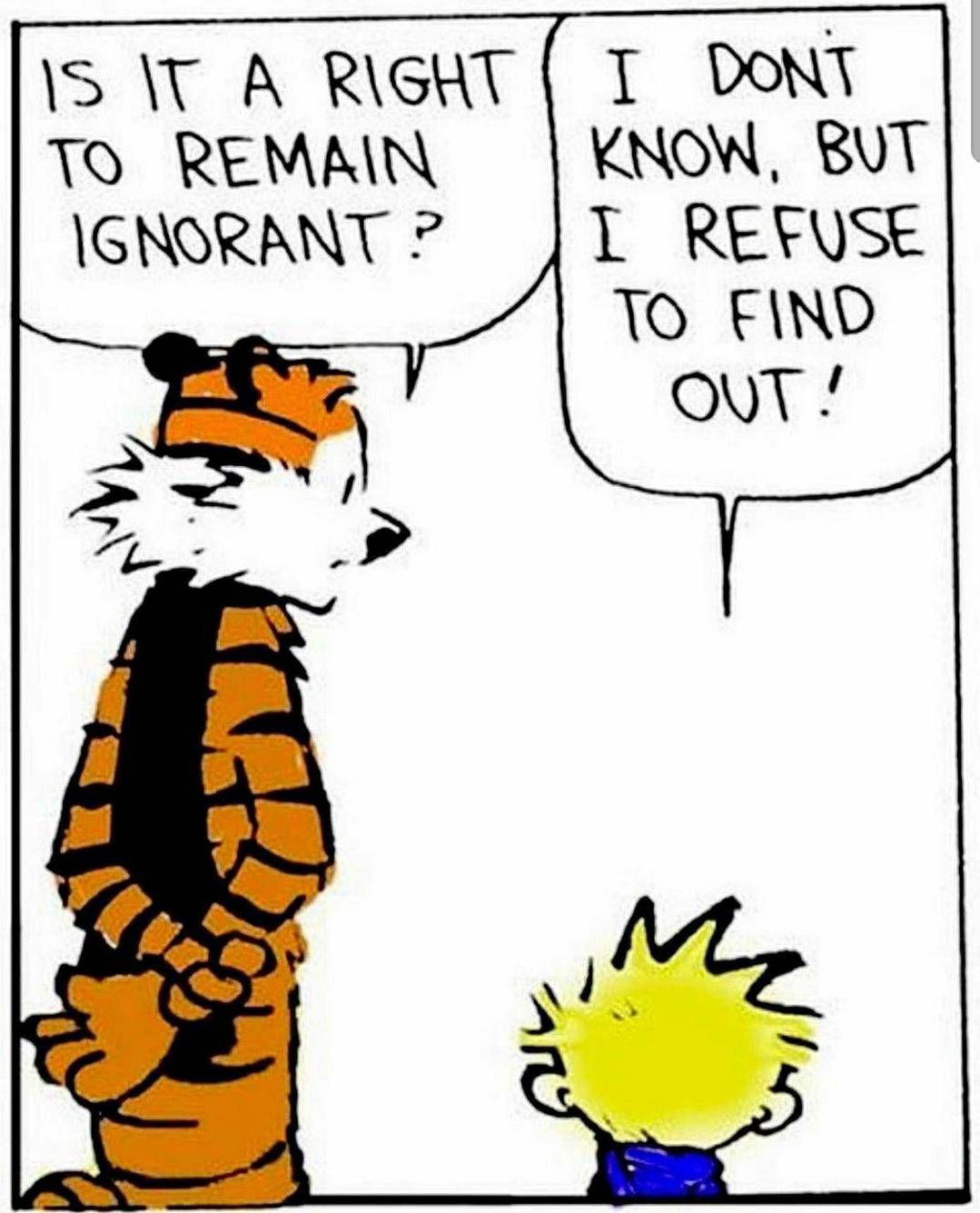 The Right to Remain Ignorant