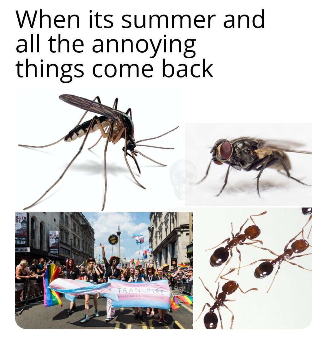 *sprays with pesticide*