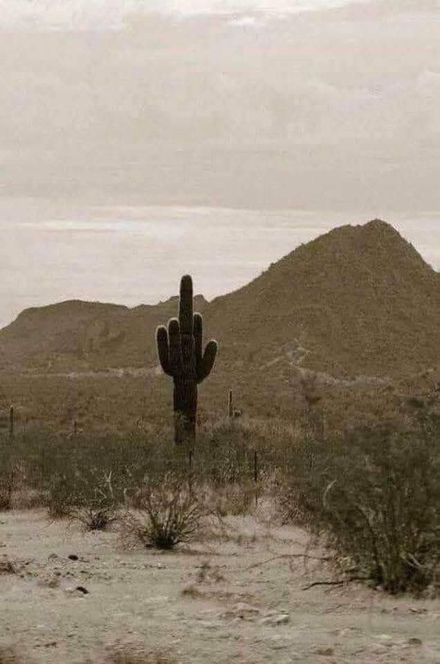 Welcome to Arizona!