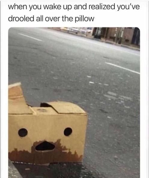 splorch