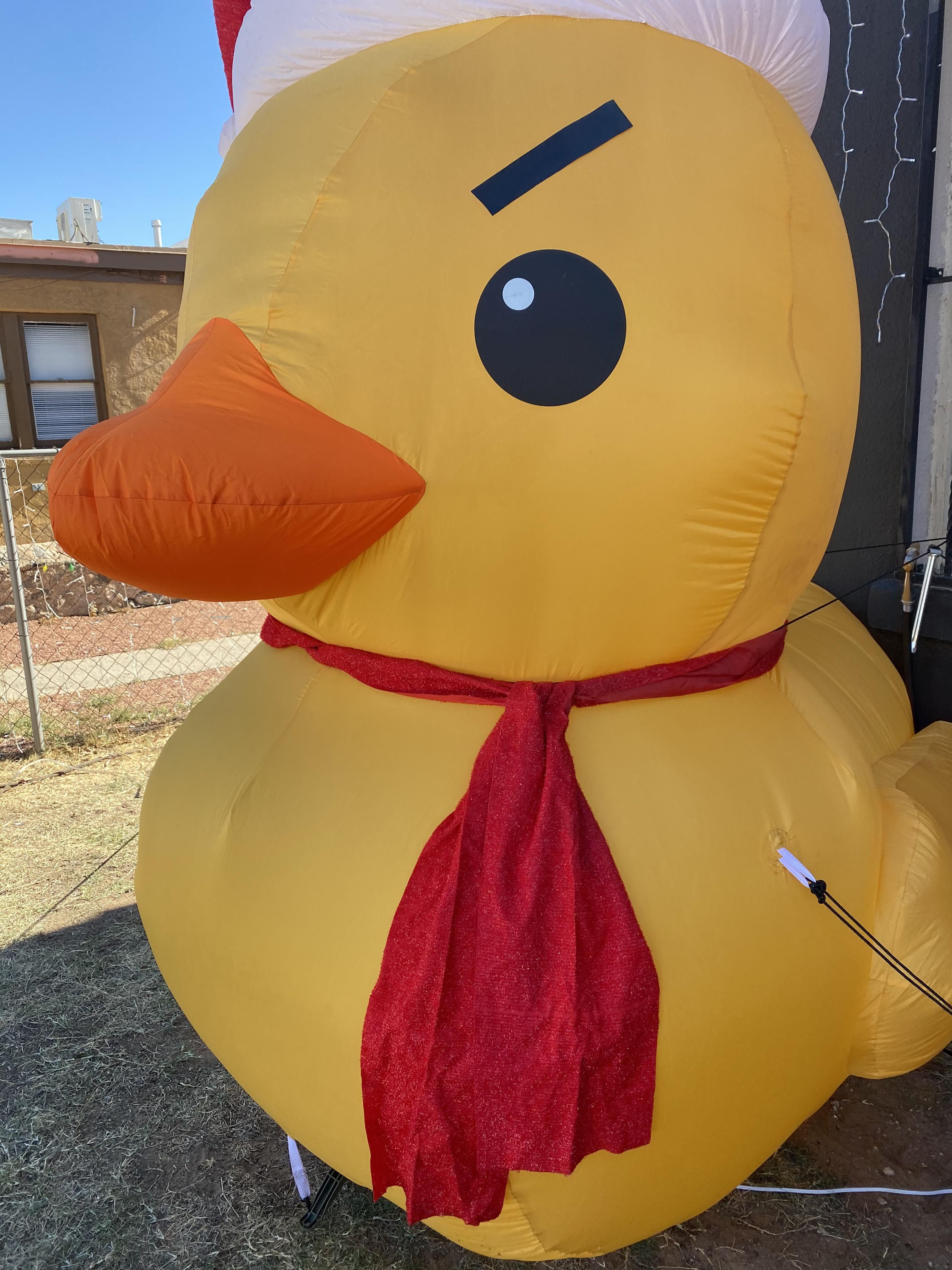 Added some black tape eyebrows to our Xmas duck.