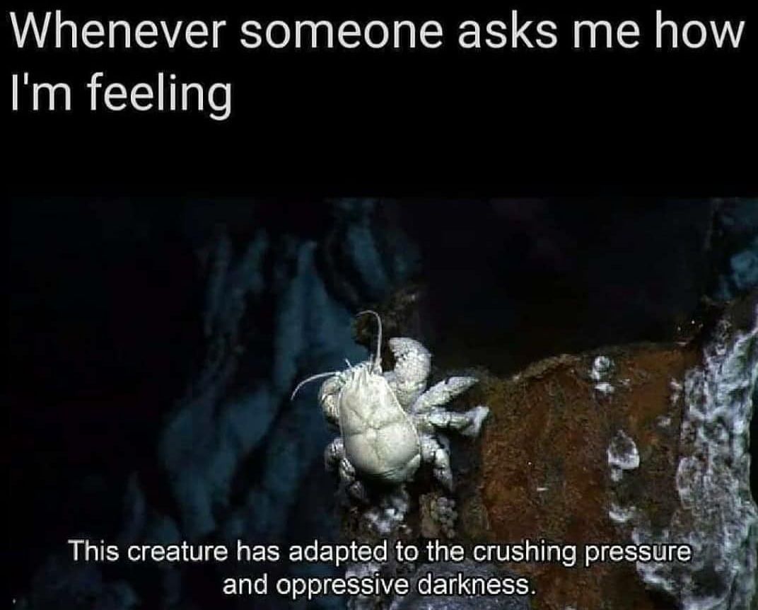 Haha yes