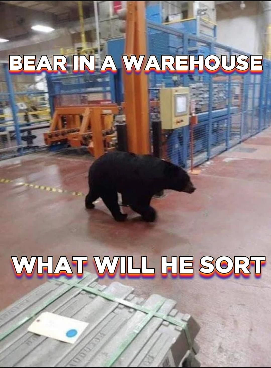 Bearhouse