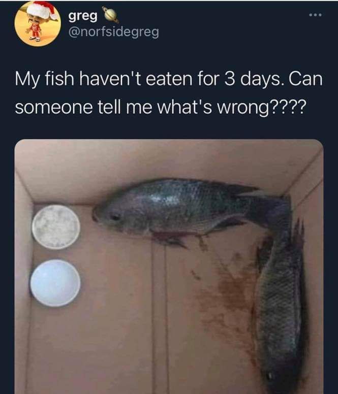 You should have cut holes on the box