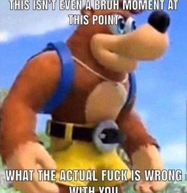 What the hell is a bruh moment?