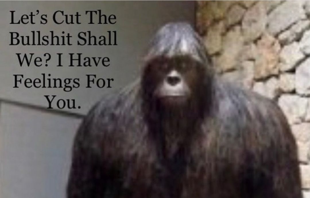 Let's cut to the chase: will I ever be with you, yes or no