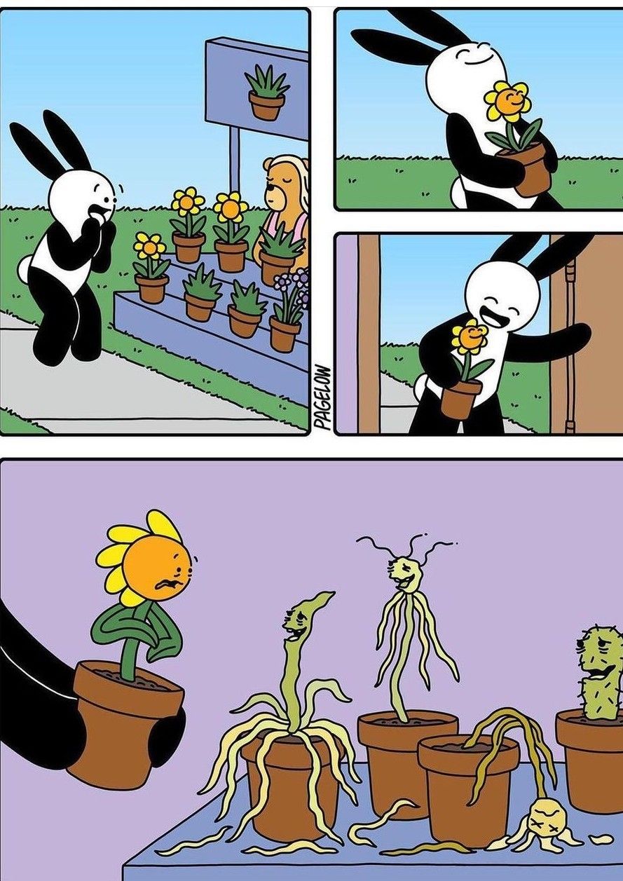 haha yes