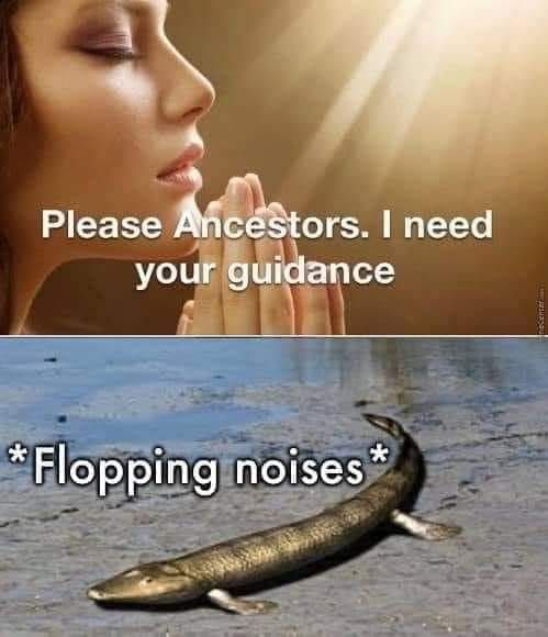 ......