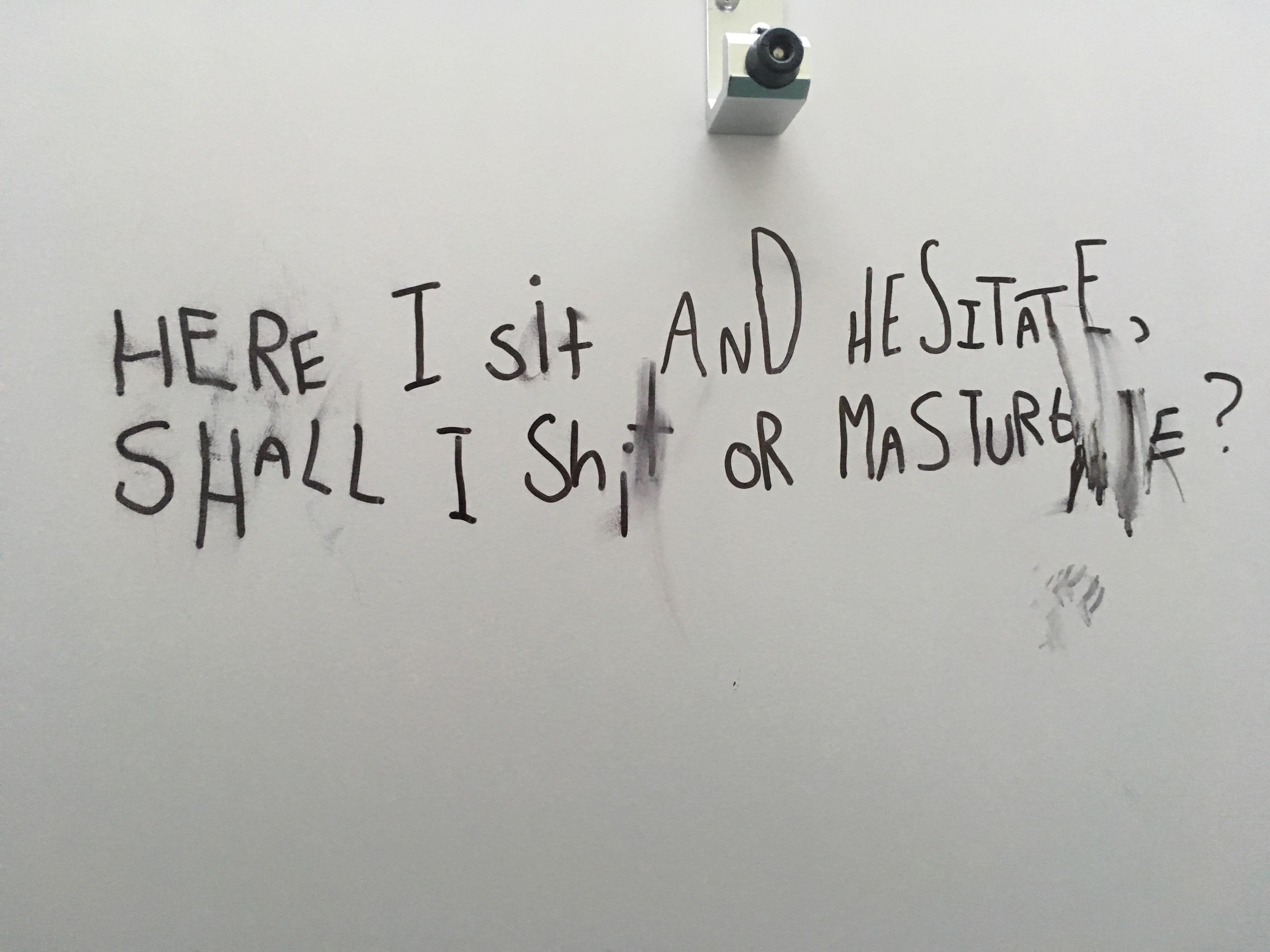 I found this in my school toilet. What a poetic genius.