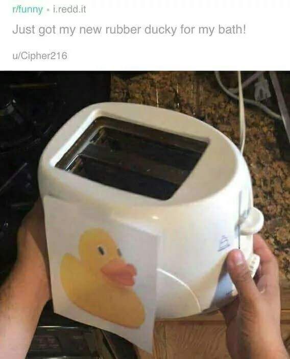 quack quack