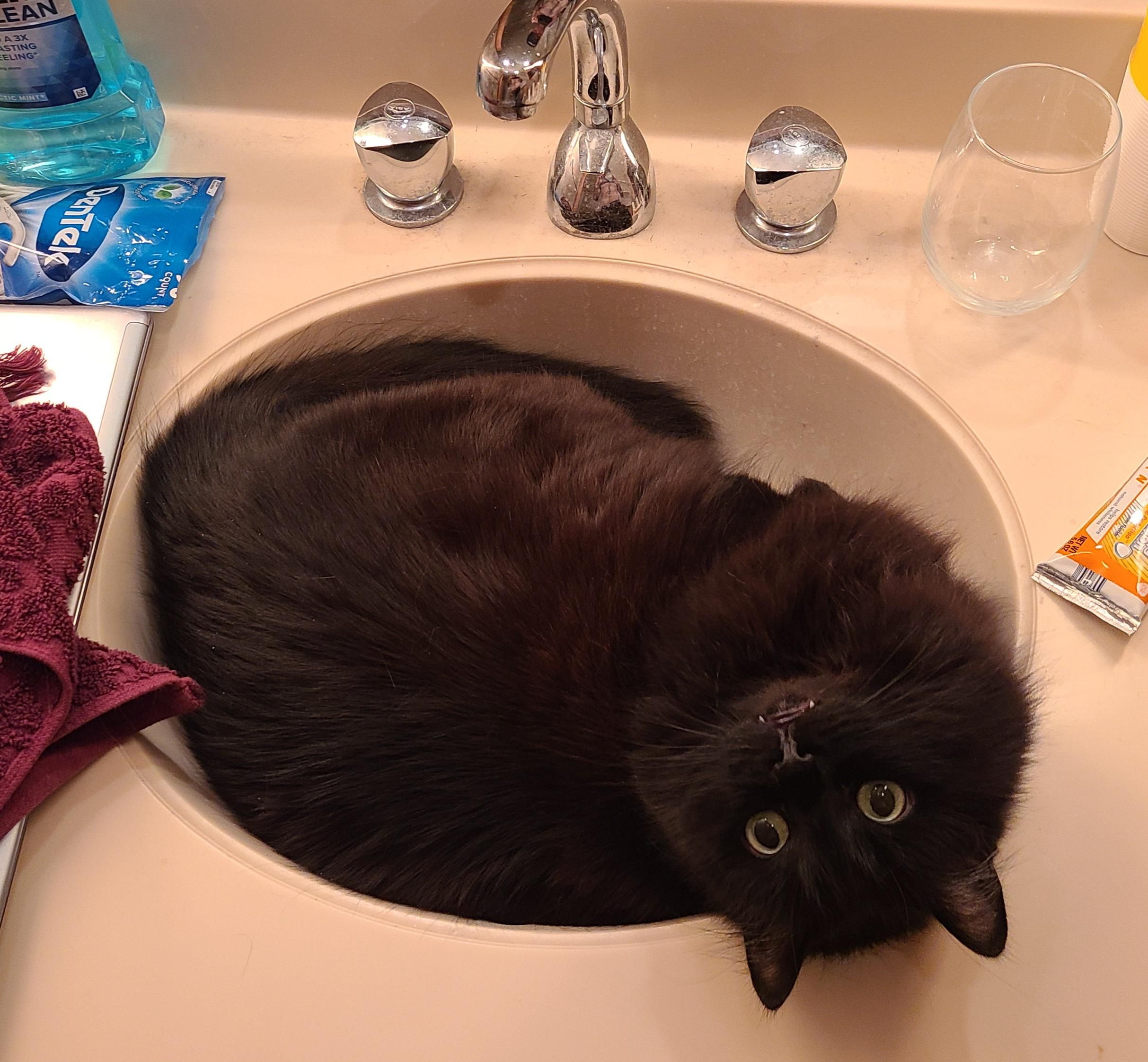 Sink is clogged with hair again!