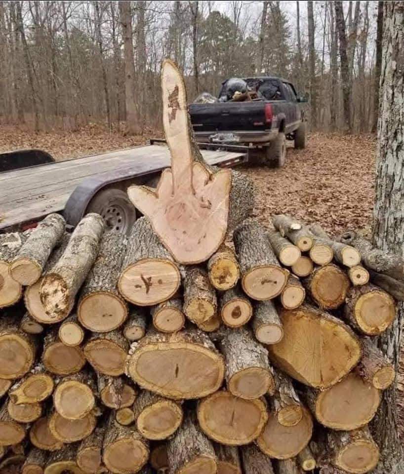 Even firewood is done with 2020.