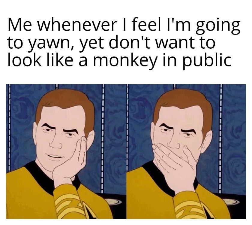 The Return of the Monke