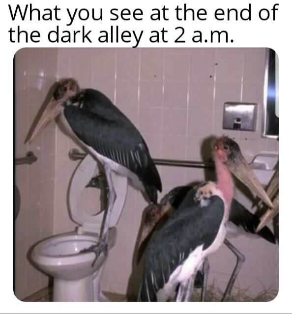 mom come pick me up i'm scared