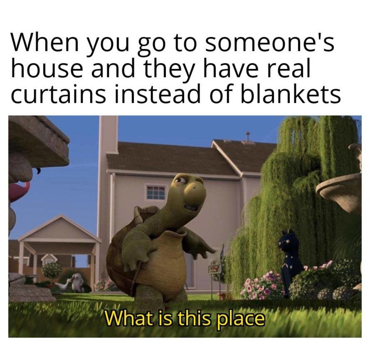 Class or ass? You decide