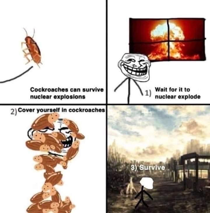 ***