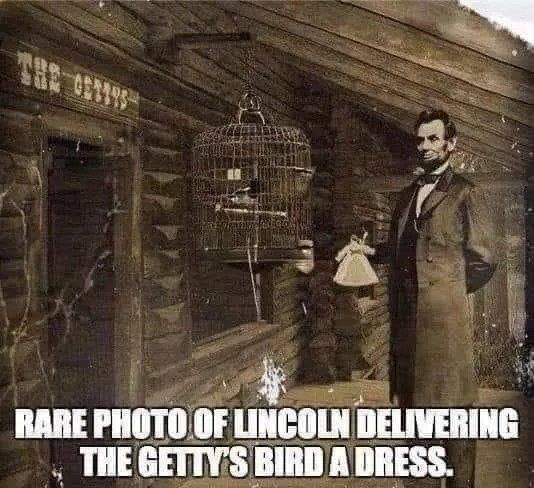 November 19, 1863. The iconic Getty's bird dress.