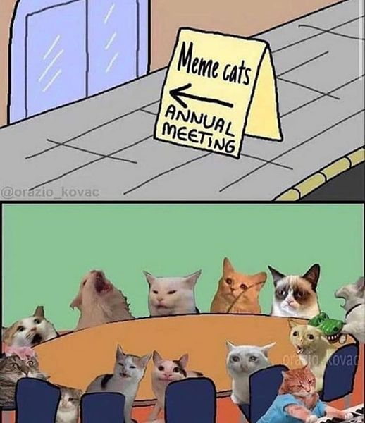 cats