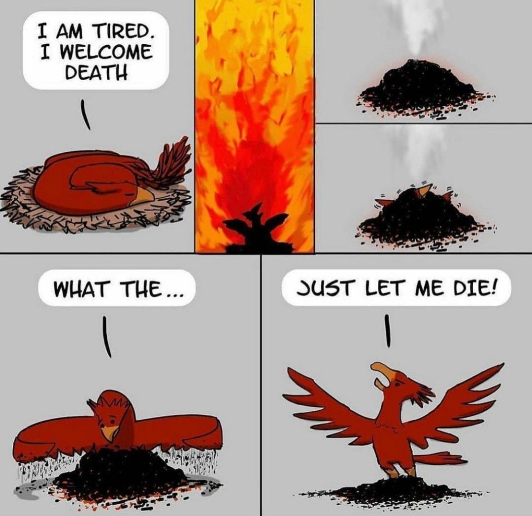 Sometimes it sucks being a Phoenix