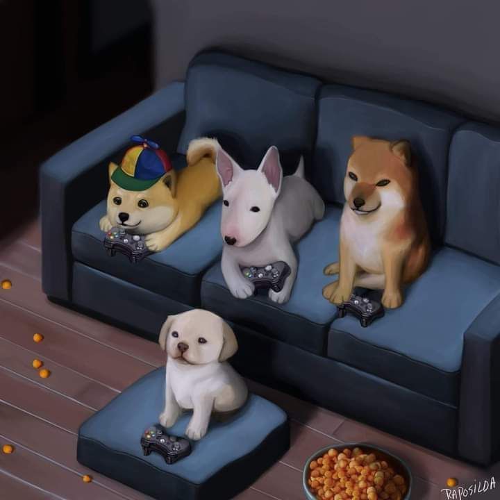 dogs