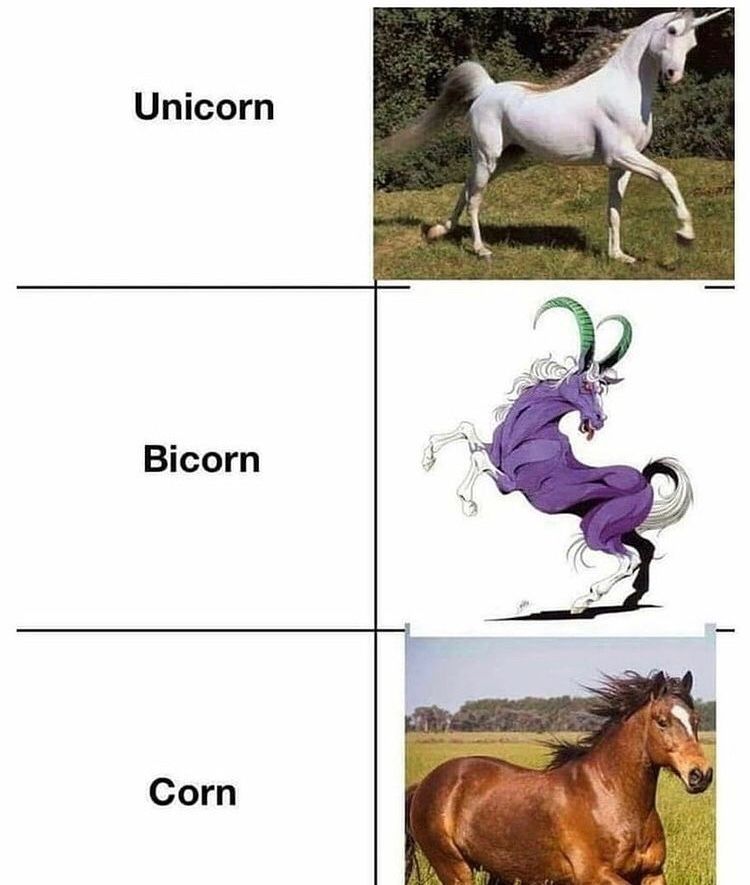 corm