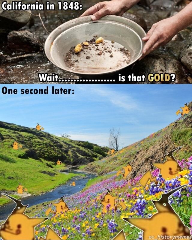 And now they are a perfect land